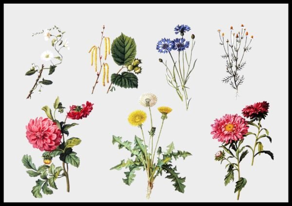 CC 345 Cntry Botancls II